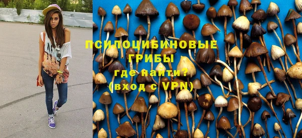 гидра Алексеевка