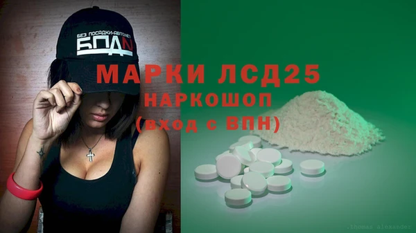 винт Алзамай