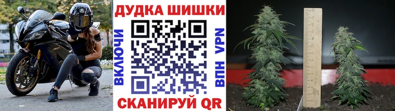 кракен ССЫЛКА  Гуково  Бошки Шишки планчик 