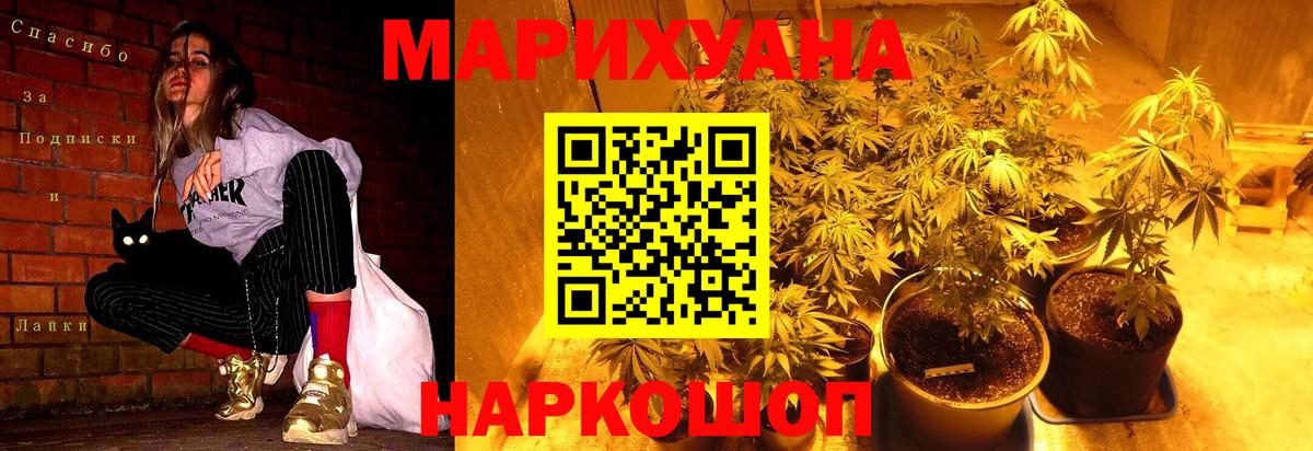 Бошки марихуана марихуана  Шишки марихуана марихуана  Гуково  Марихуана сатива  Вход с VPN 